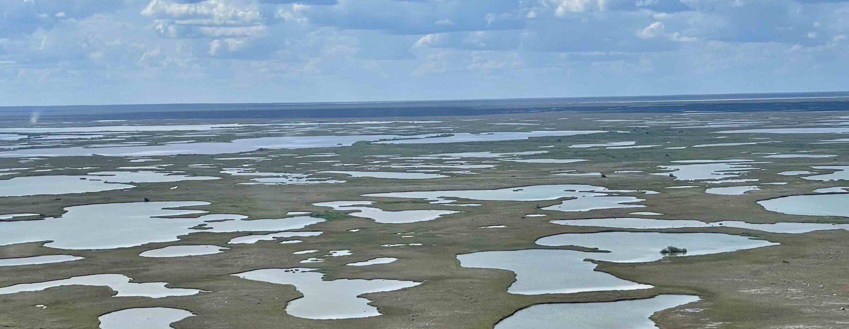 Aerial view of the bogs of Wapusk National Park