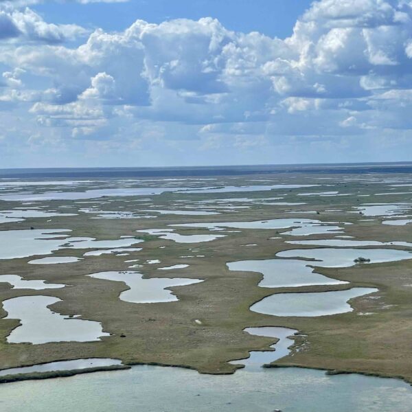 Aerial view of the bogs of Wapusk National Park