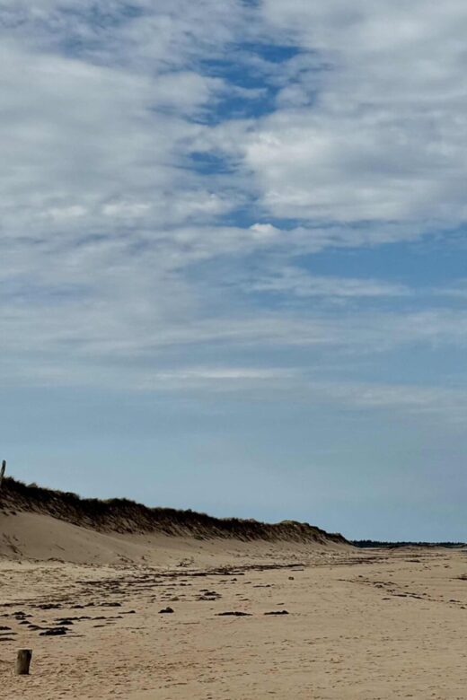 Sandy beach of PEI national park
