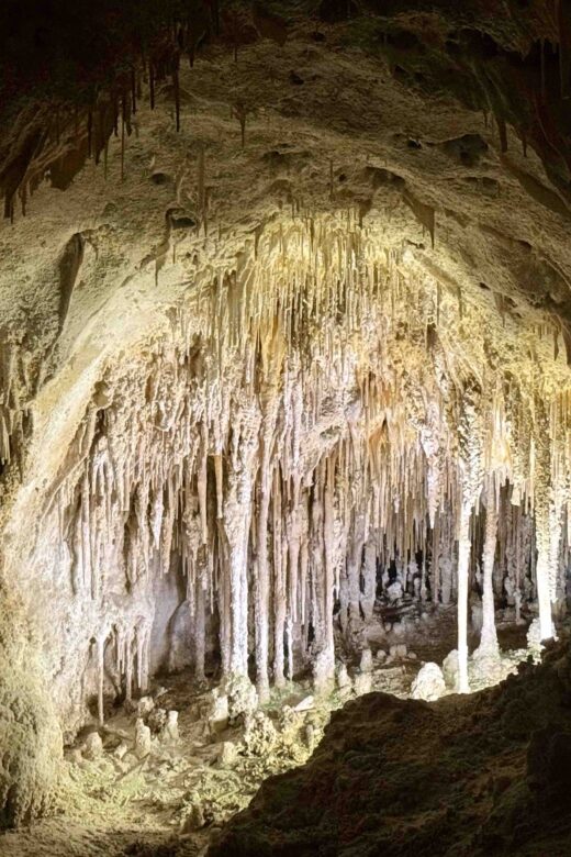 Caves of Carlsbad National Park